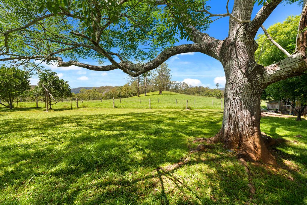 1471 Darkwood Road, Bellingen NSW 2454, Image 2