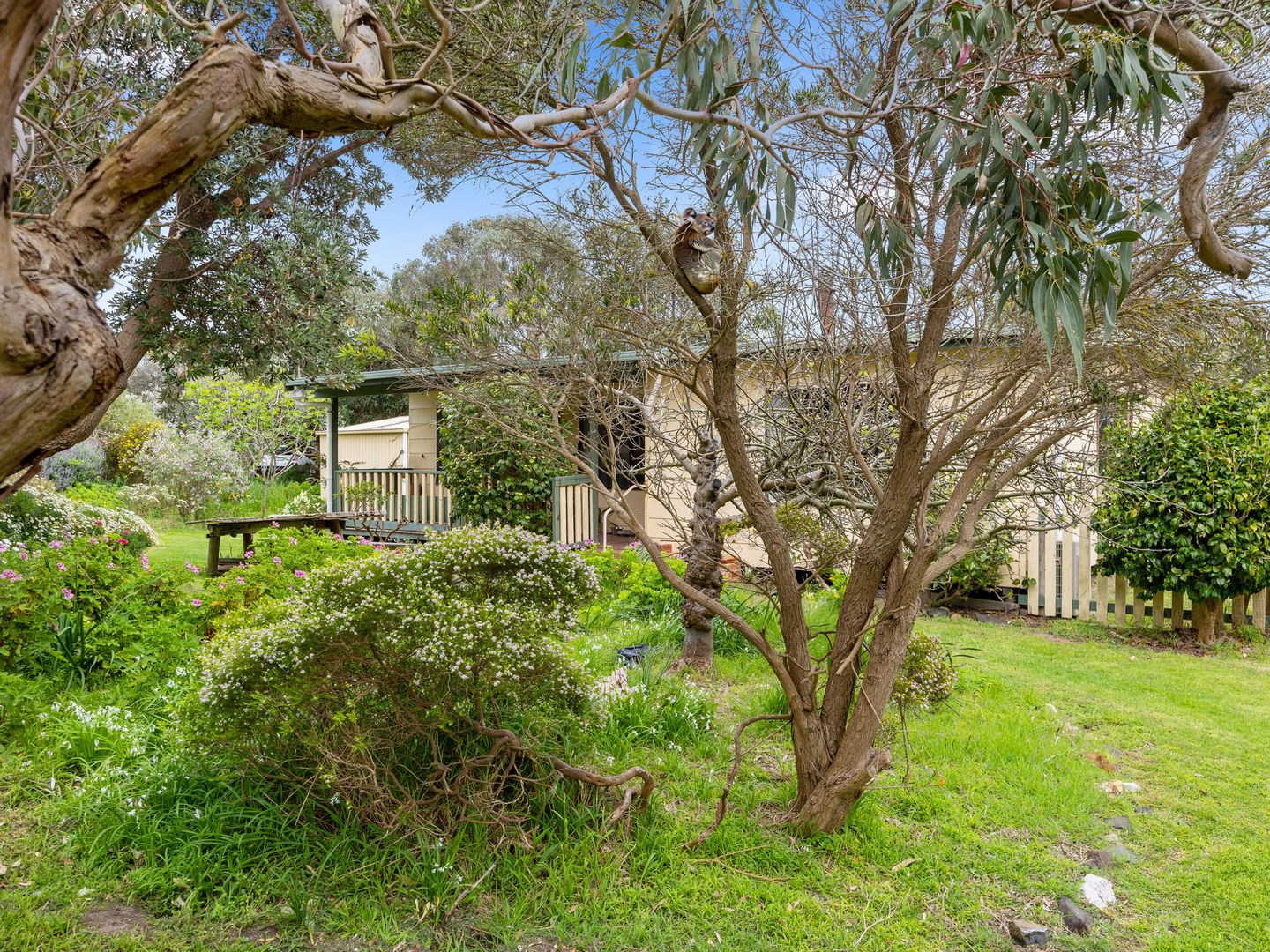 37 Banksia Ave, Sandy Point VIC 3959, Image 1