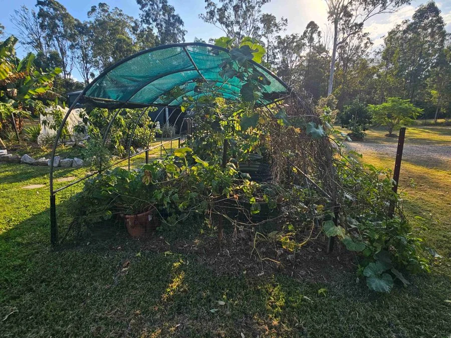 Image 14