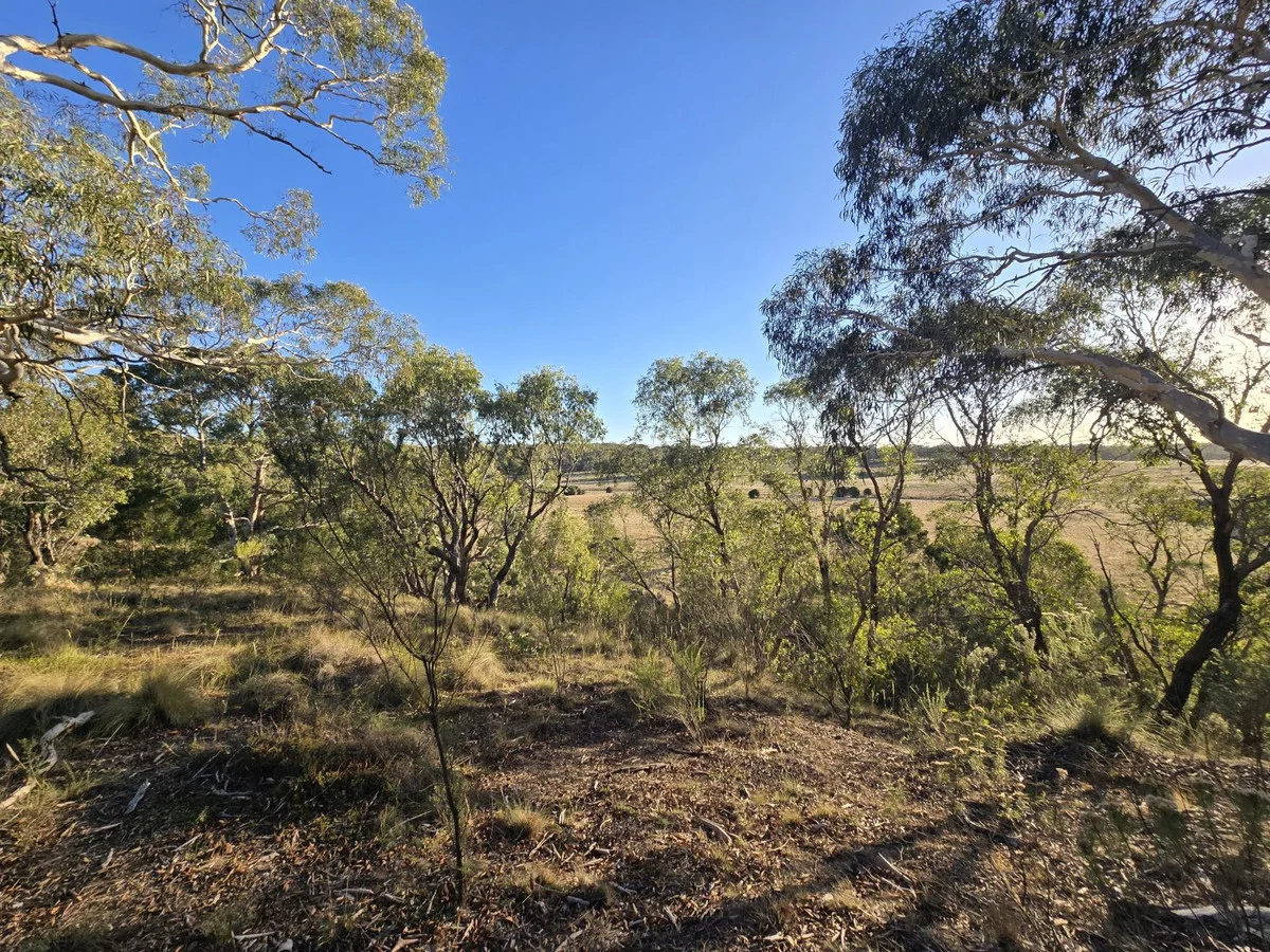 Image 16