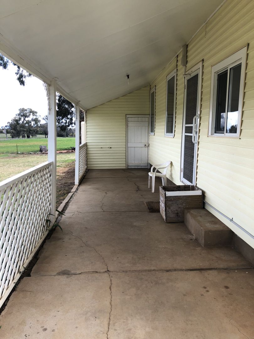 517 Garra Road, Molong NSW 2866 House For Rent 320 Domain