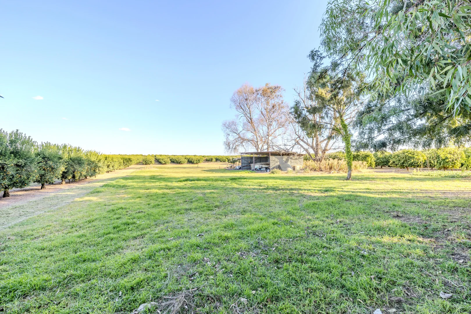 Additional image 9 of 3/3724 Kulkyne Way, Colignan VIC 3494