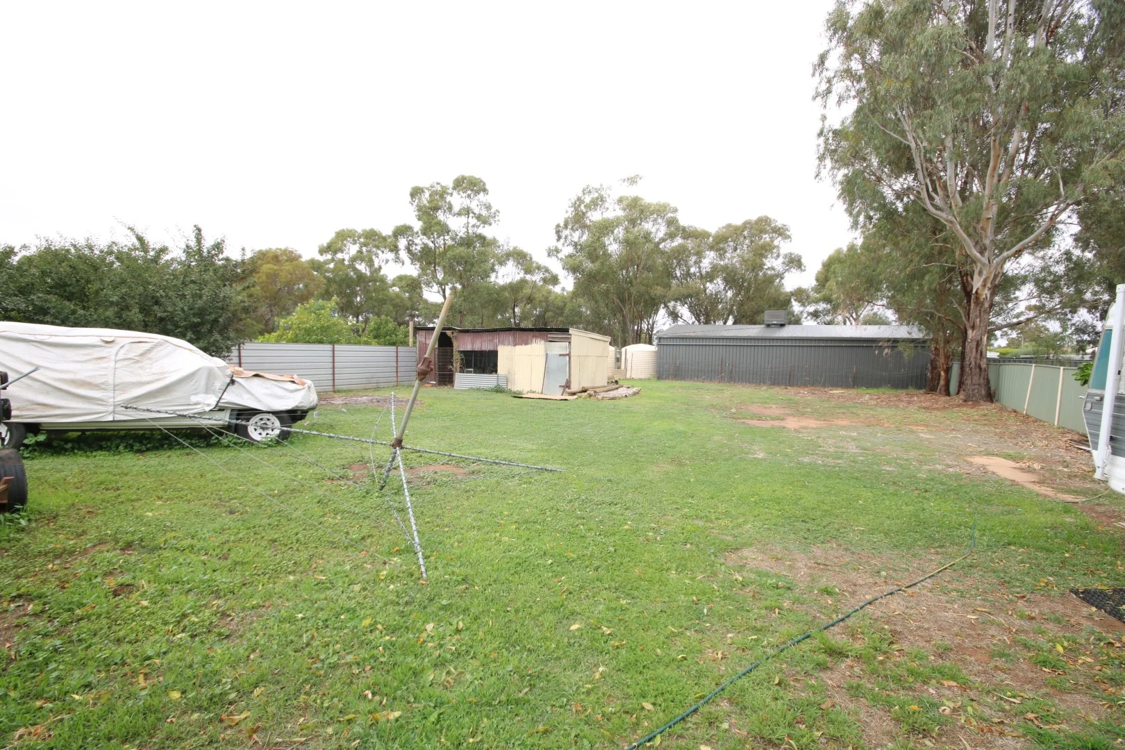 Image 12