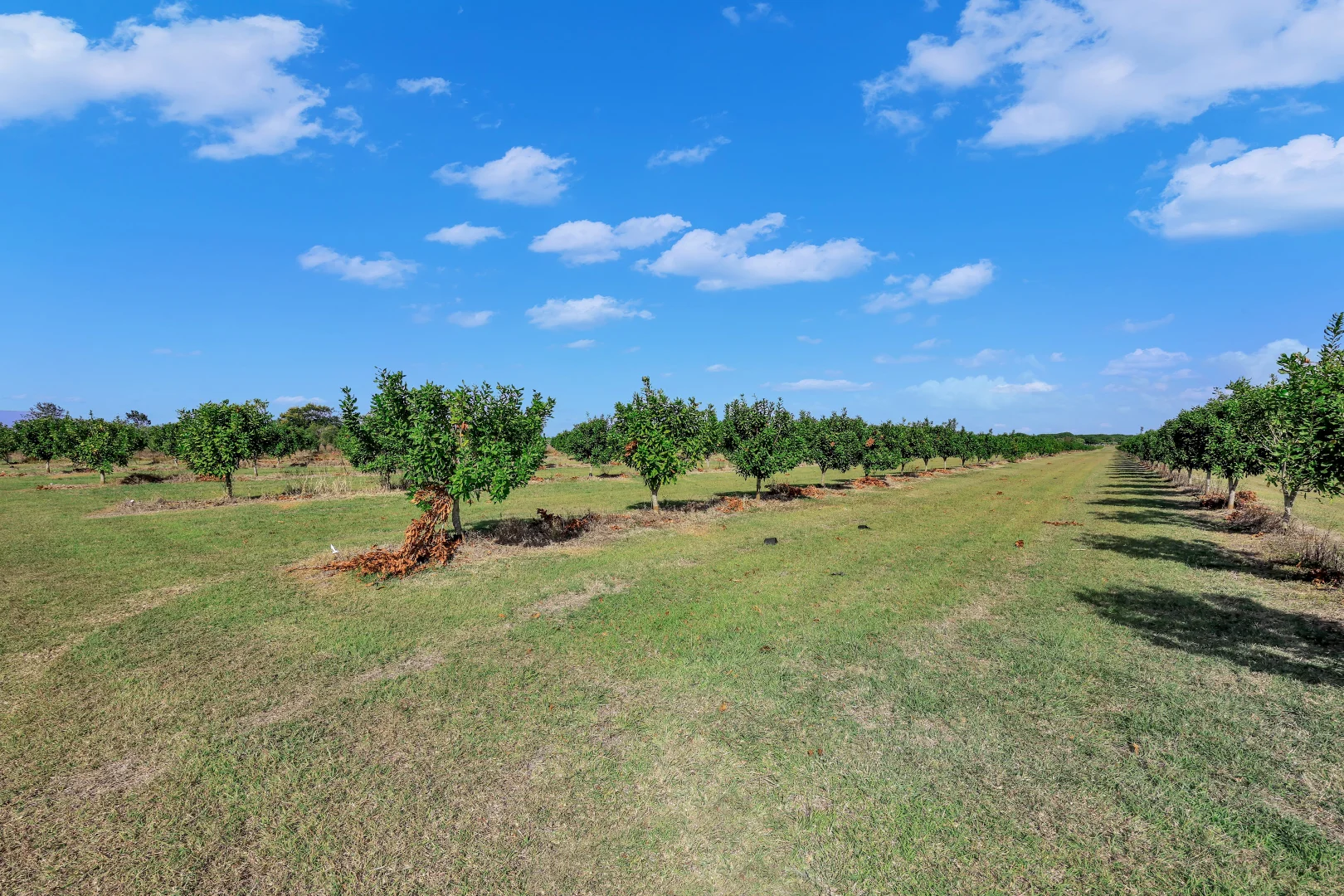 Additional image 23 of 233 Back Springfield Road, Woongarra QLD 4670