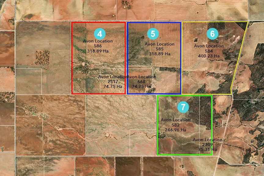 Image 6