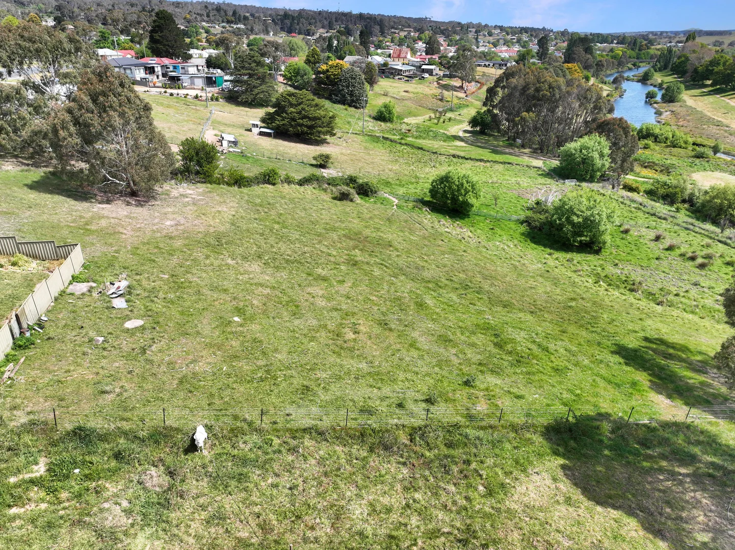 Image 14