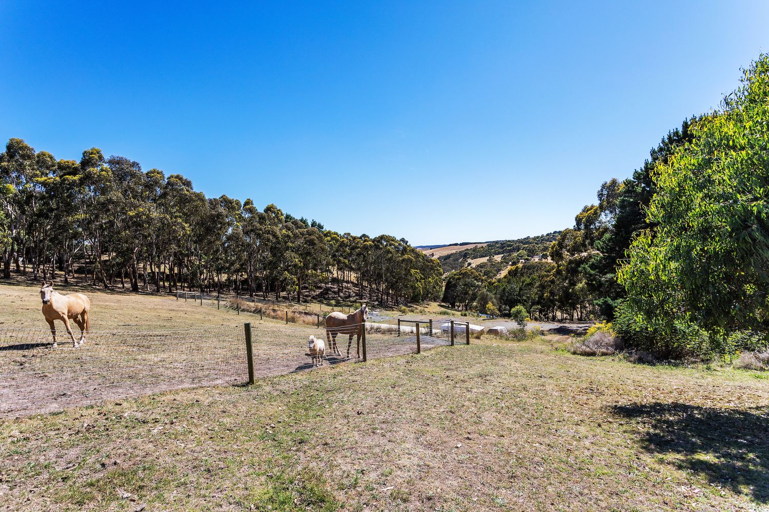 728 Range Road West, WILLUNGA SOUTH, Willunga South SA 5172, Image 2