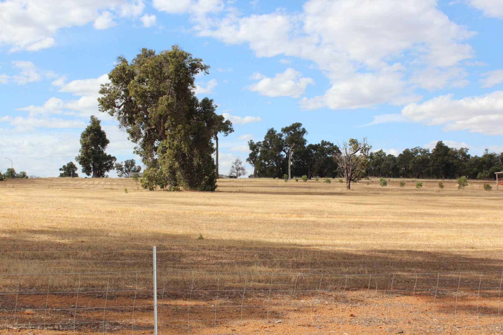 Lot 392 Boodja Rd & Boolok Ave, Wundowie WA 6560, Image 2