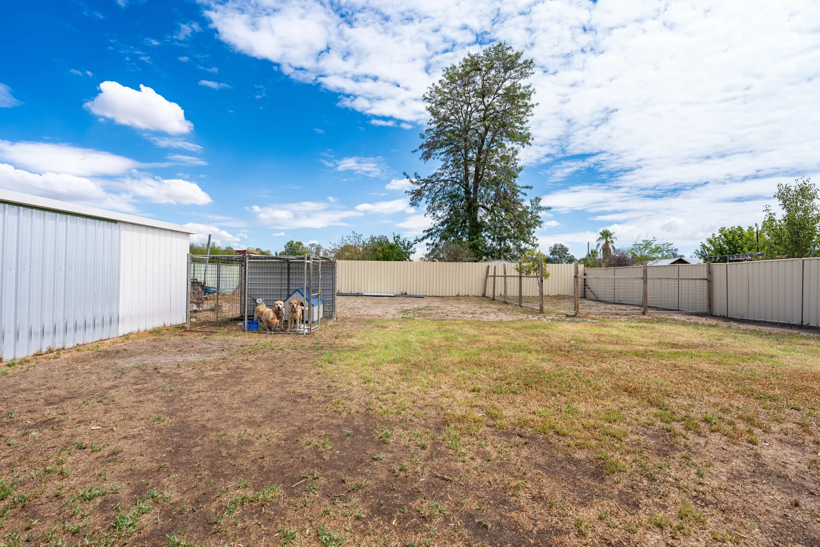 Additional image 12 of 9 Stirbeck Street, Holbrook NSW 2644