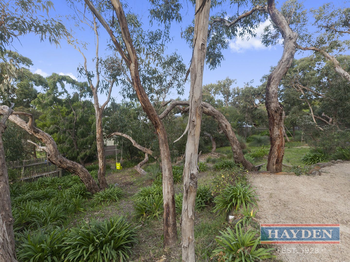 54 McMillan Street, Anglesea VIC 3230, Image 2