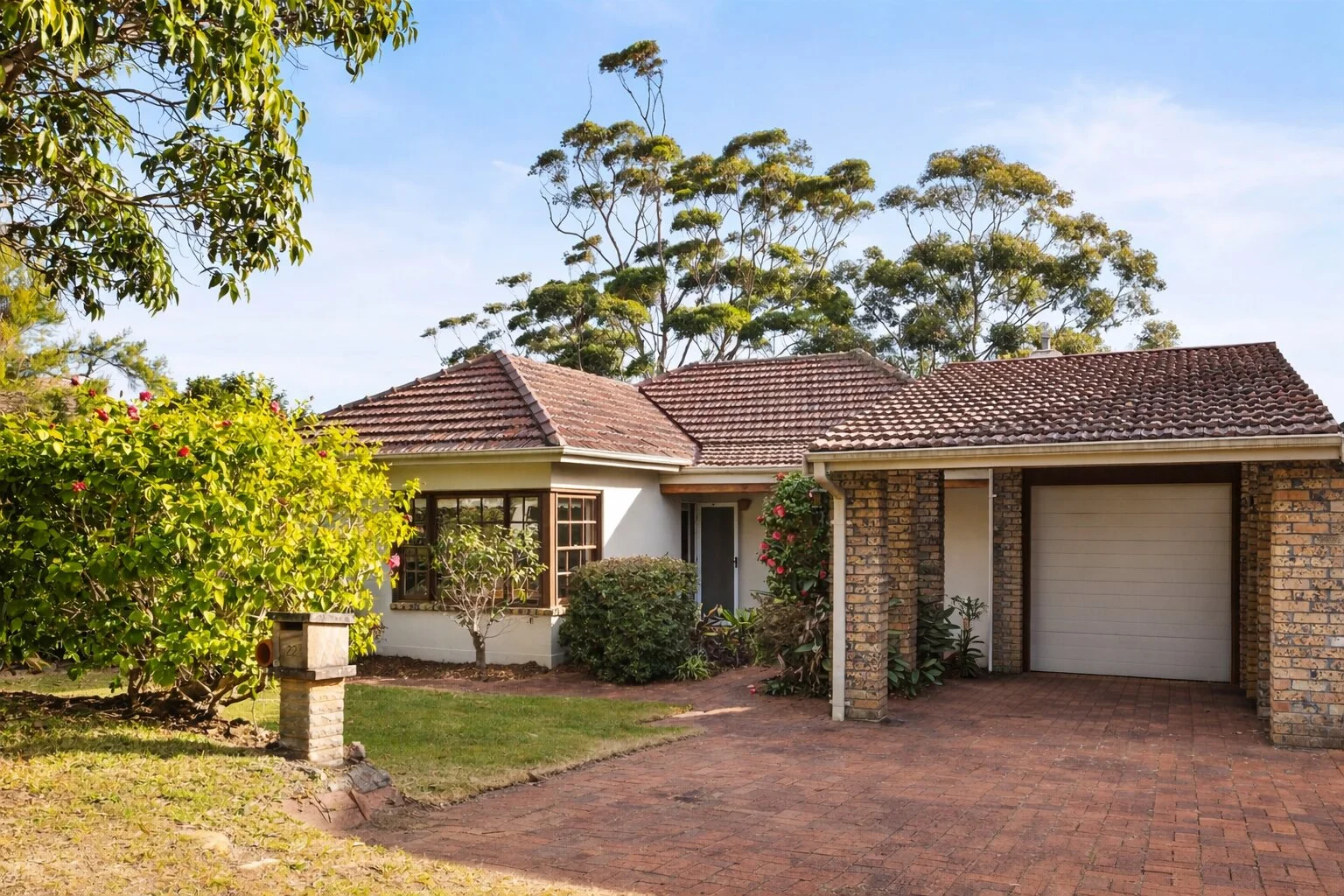 Additional image 6 of 22 Ozone Street, Freshwater NSW 2096