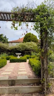 Image 15