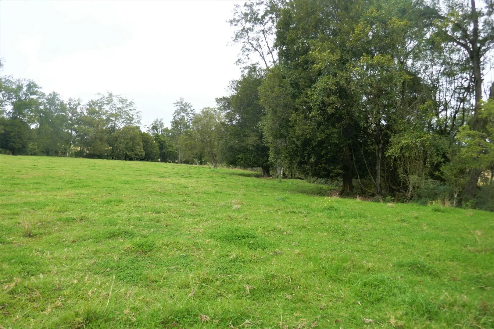 Additional image 20 of 35 Phelps Road, Kyogle NSW 2474