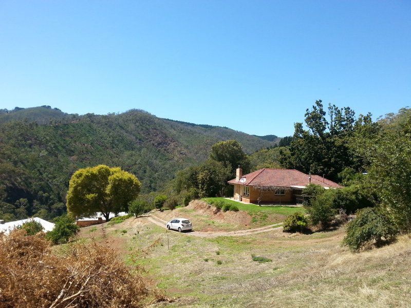 51C Fernhurst Road, Cherryville SA 5134 House For Rent Domain