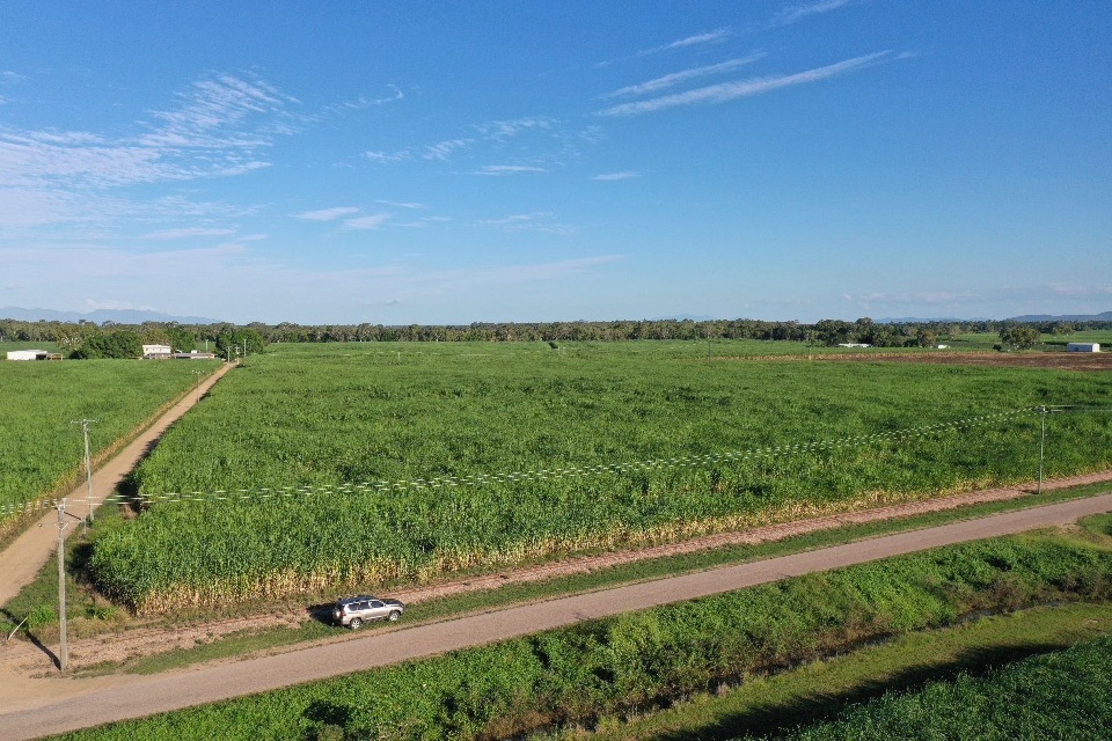 386 Anabranch Road, Jarvisfield QLD 4807 House for Sale Domain