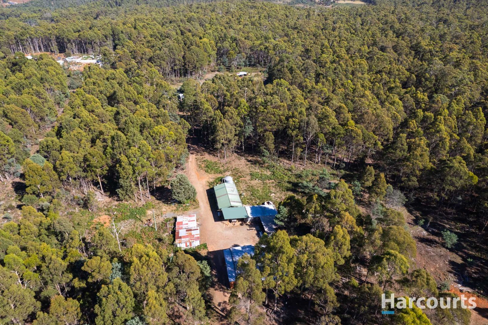 99 Silver Wattle Drive, Reedy Marsh TAS 7304, Image 2