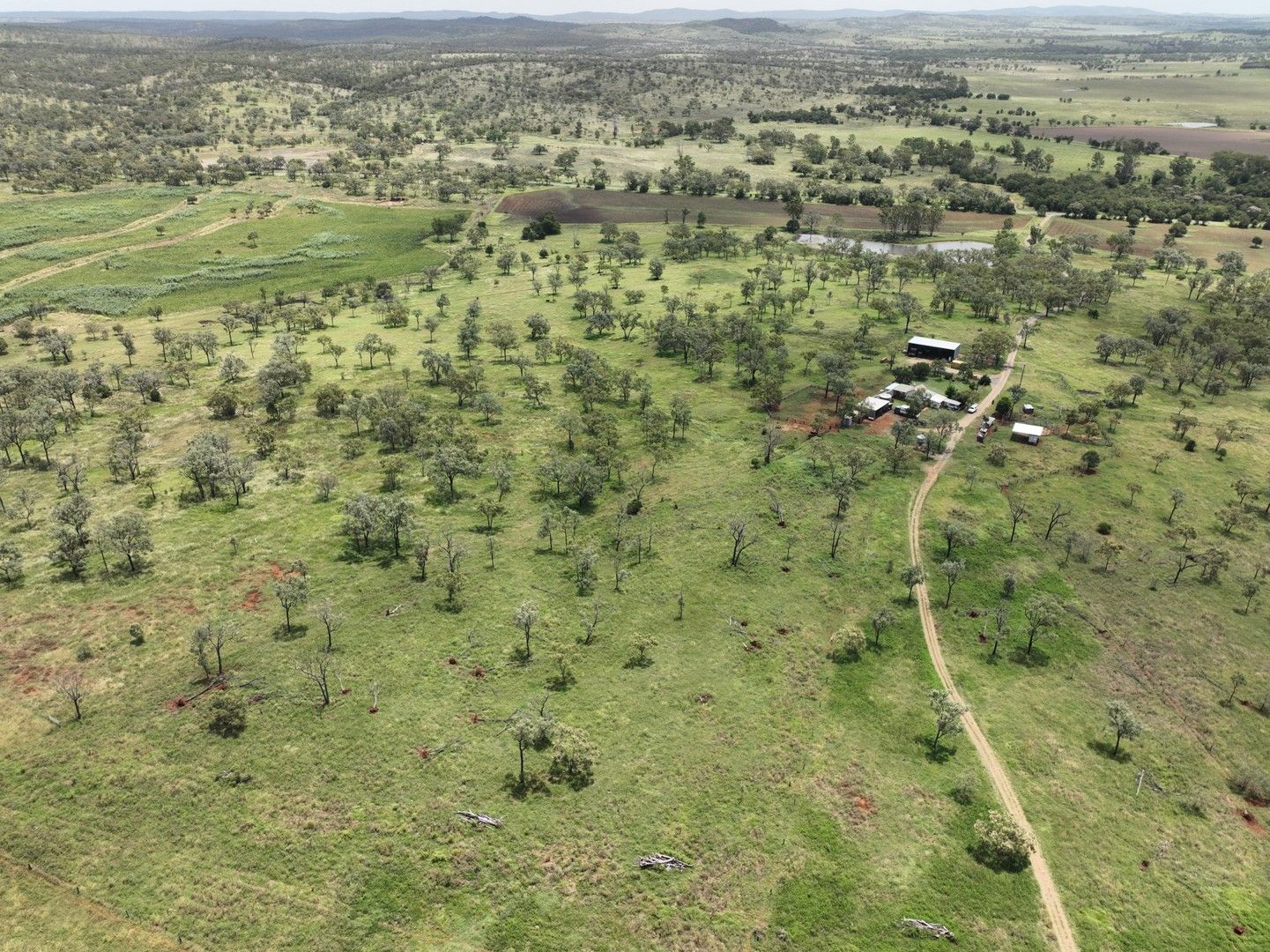Thangool QLD 4716 Specialist Farm for Sale 2,600,000 Domain