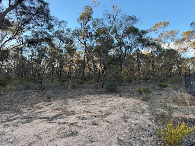 Image 7