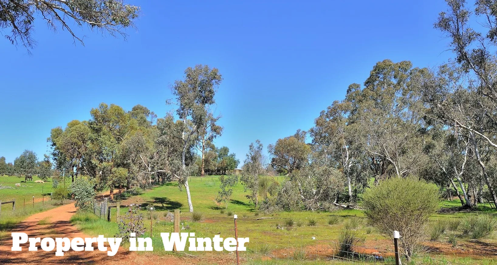 Additional image 14 of 7000 Werribee Road, Wooroloo WA 6558