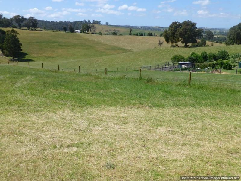 64 Great Alpine Road, Bruthen VIC 3885, Image 2