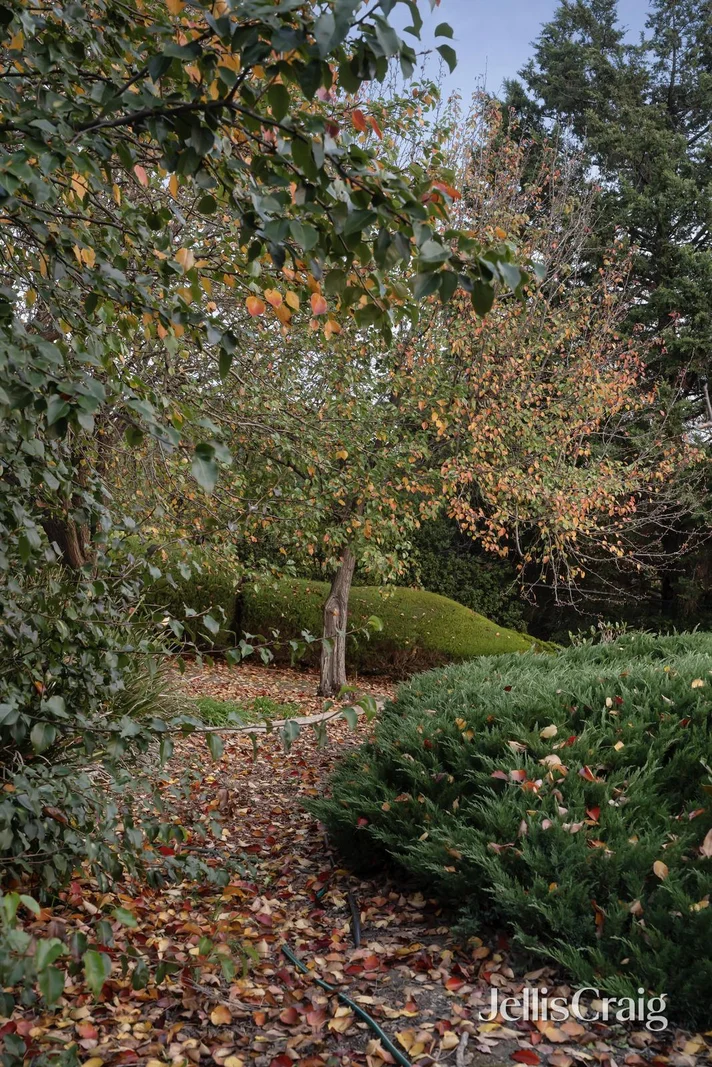Image 17