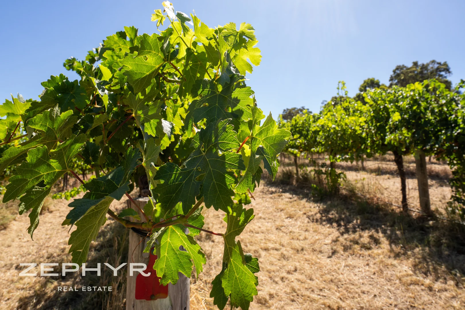 Additional image 20 of 11 The Dress Circle, Henty WA 6236