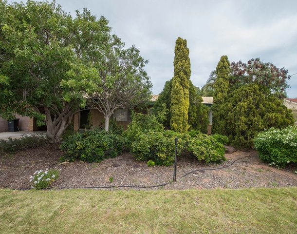 3 Gale Road, Wonthella WA 6530