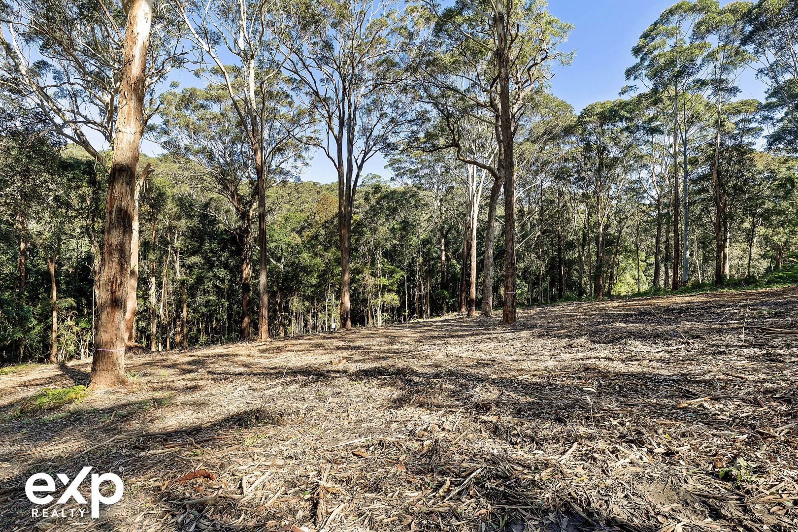 777 The Scenic Road, Macmasters Beach NSW 2251, Image 0