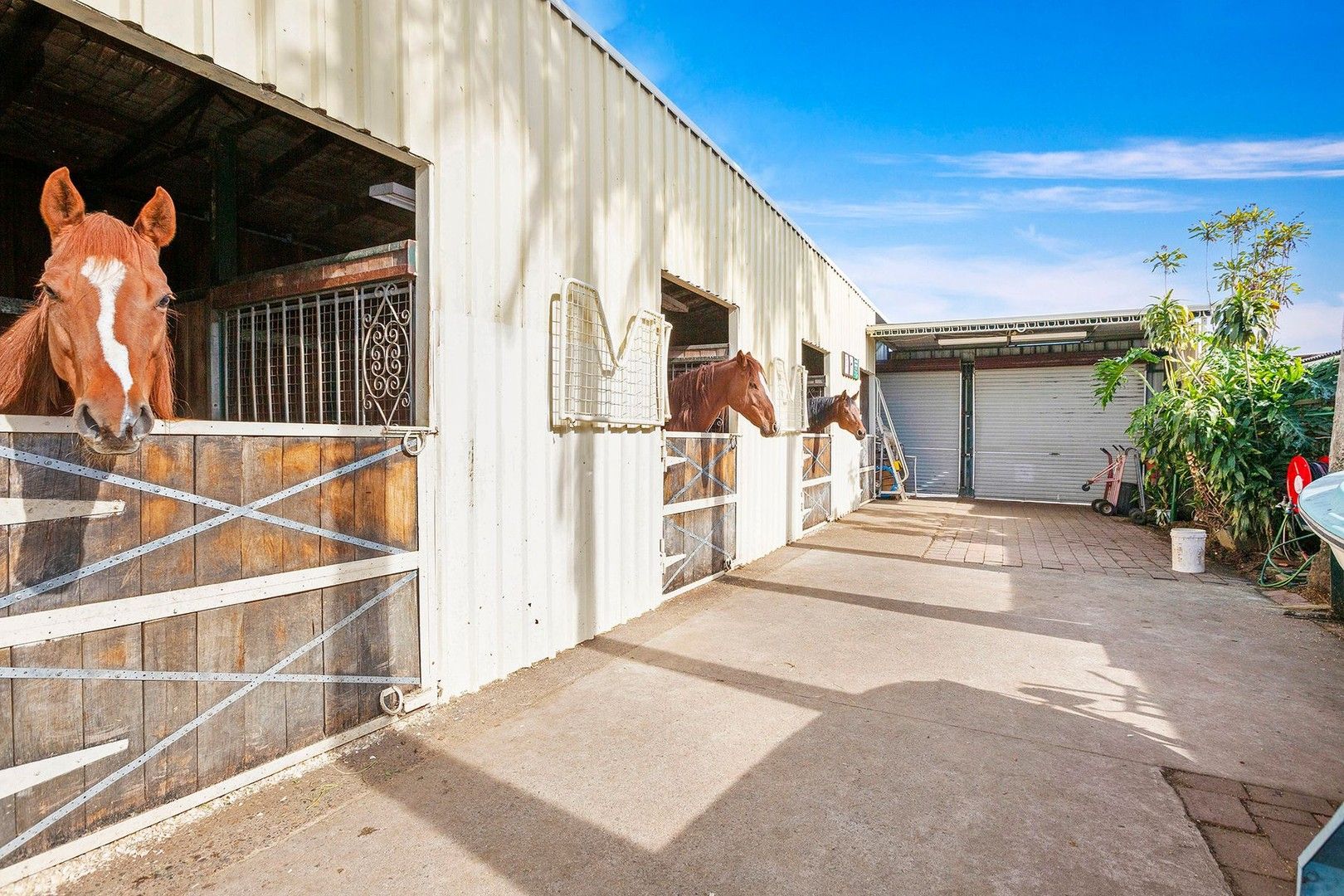 3 bedrooms House in 12 Short Street ROSEHILL NSW, 2142