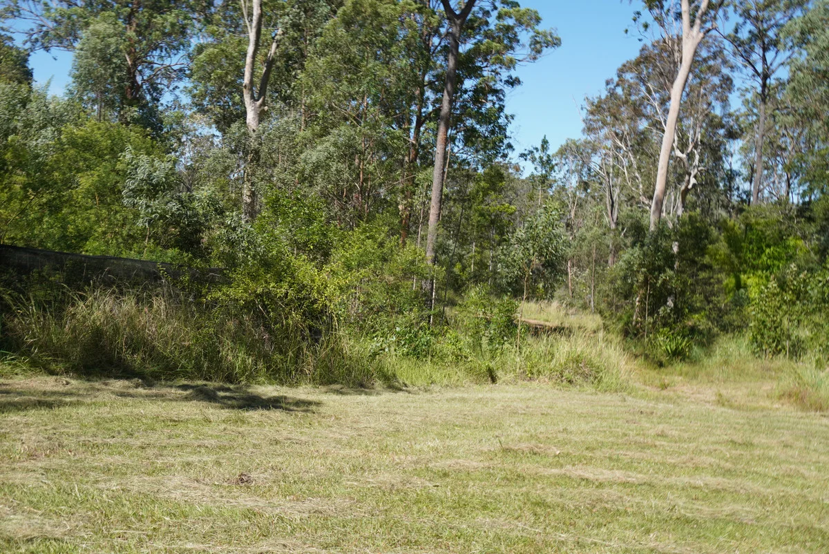Image 29