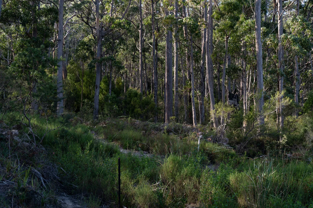 Image 9