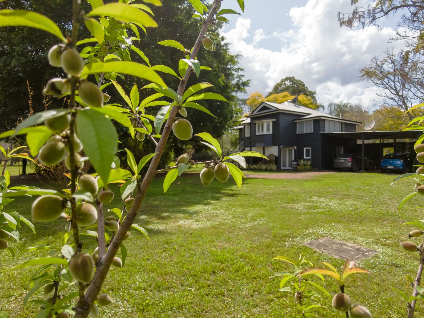 245 Coonoongibber Creek Rd, Brooloo QLD 4570, Image 2