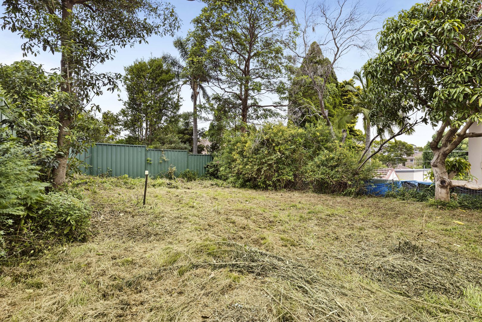 28 Barnsbury Grove, Bexley North NSW 2207 Domain
