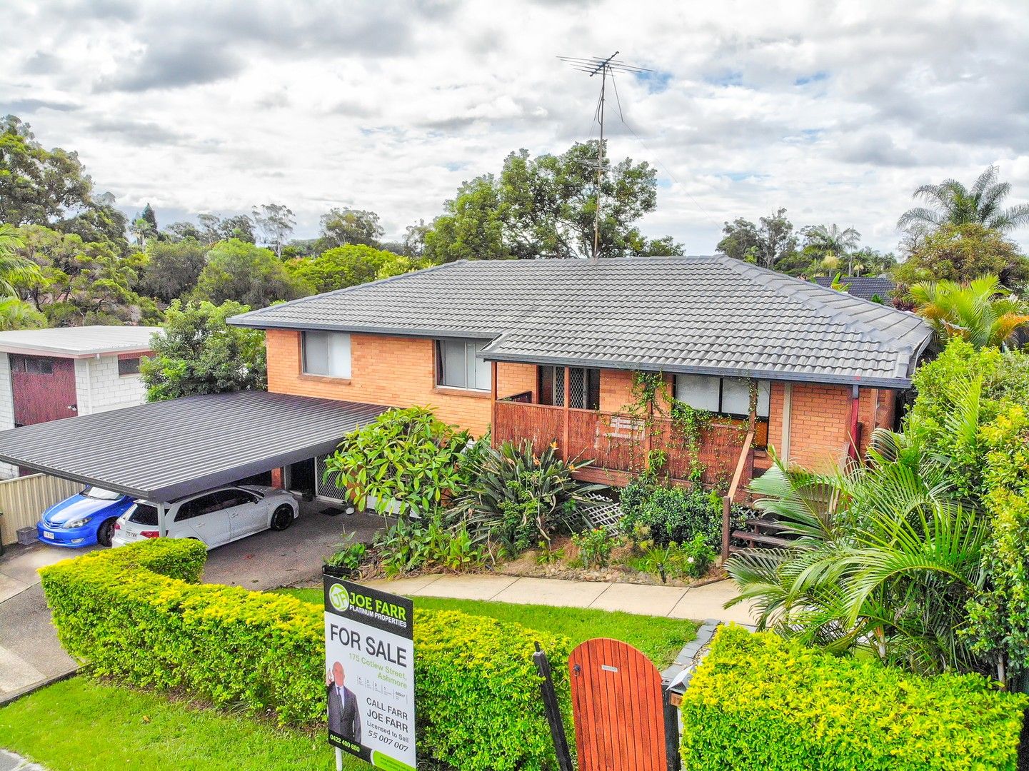 4 bedrooms House in 175 Cotlew Street ASHMORE QLD, 4214