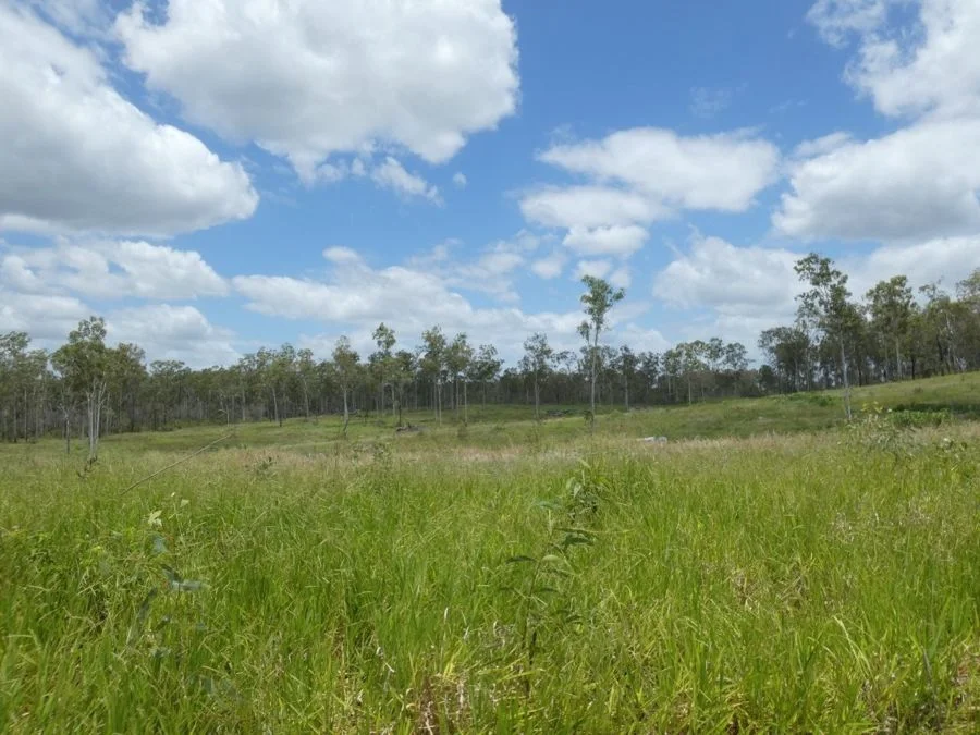 Image 13