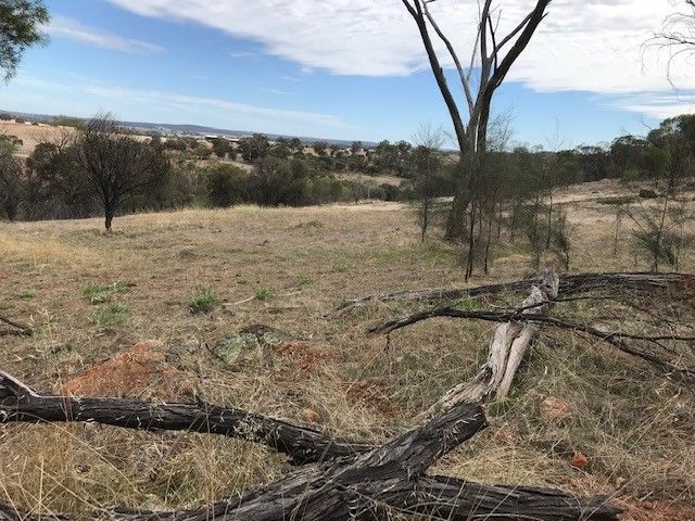 Lot 305 Qualen West Road, Gilgering WA 6302, Image 2