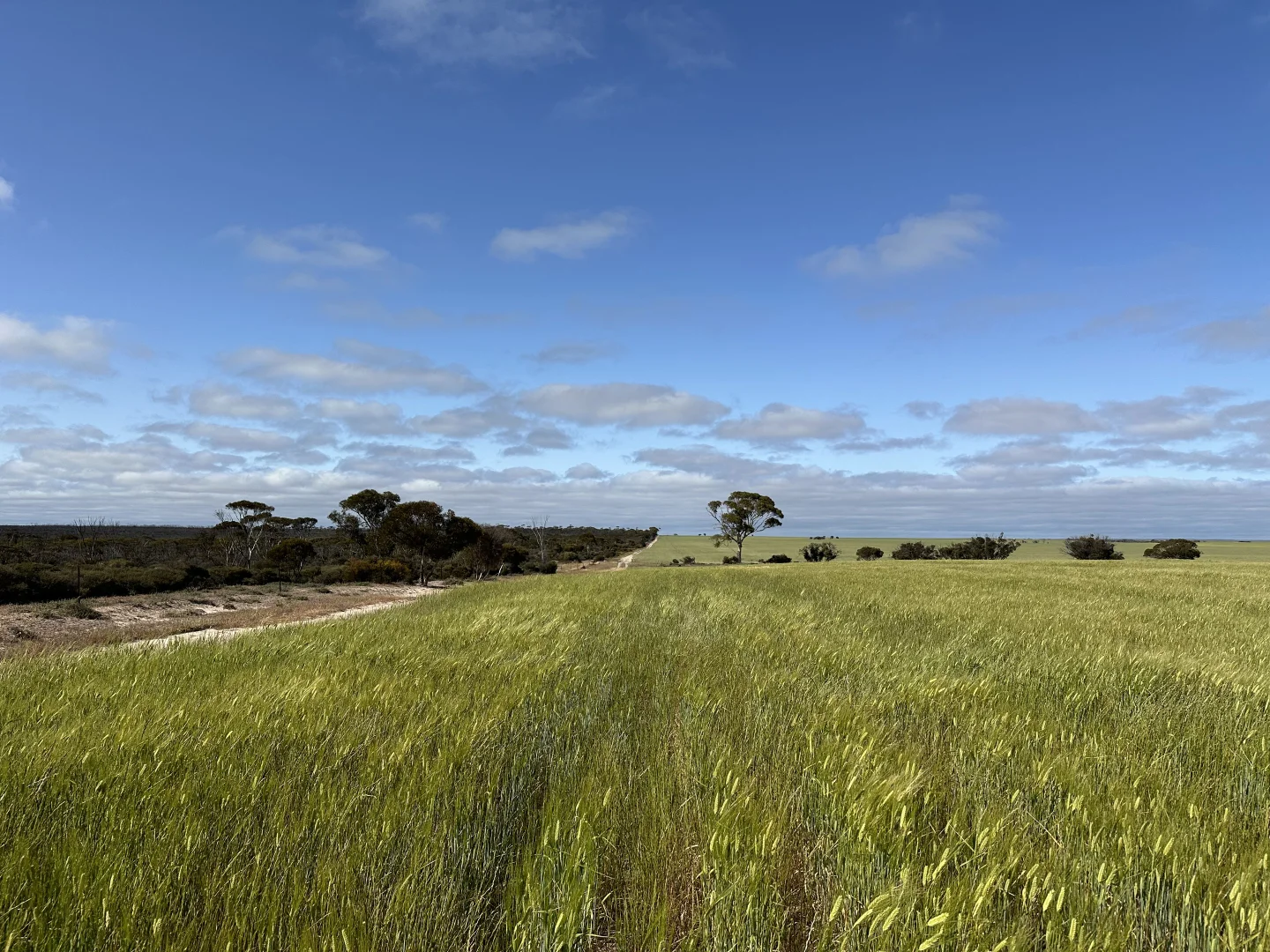 Image 15