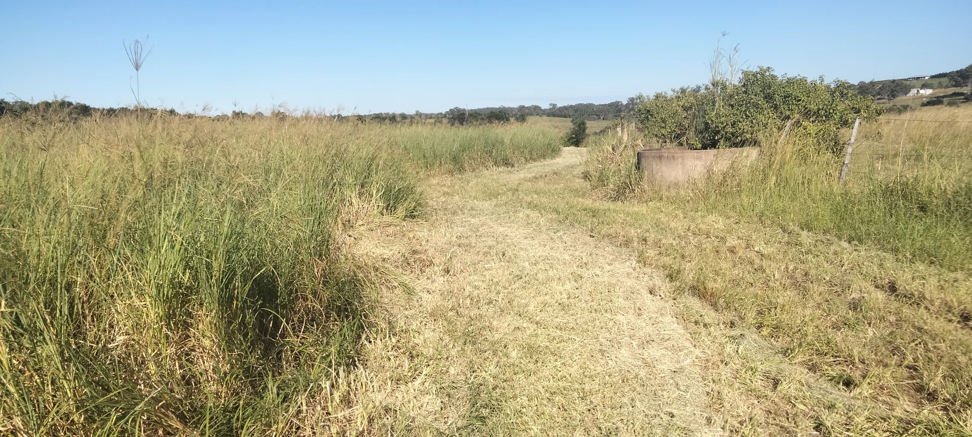 Additional image 18 of 808 Pine Creek Road, Givelda QLD 4670