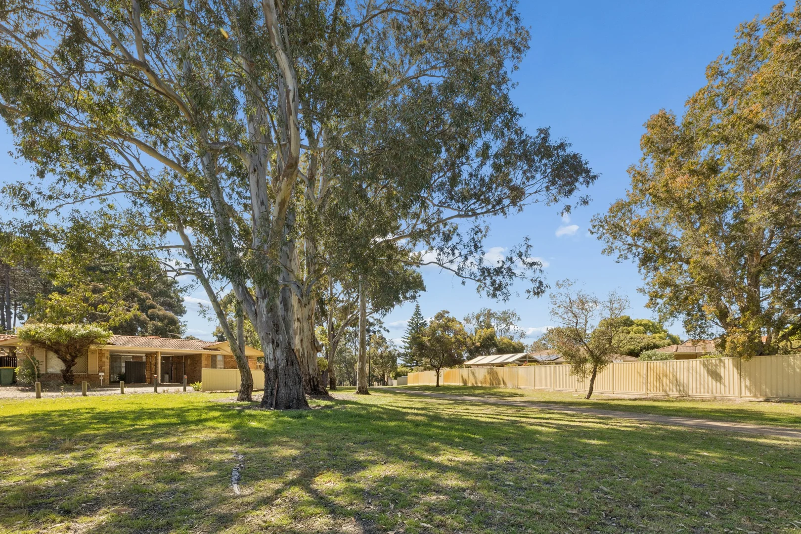 1/5 Shann Grove, Kardinya WA 6163 | Domain