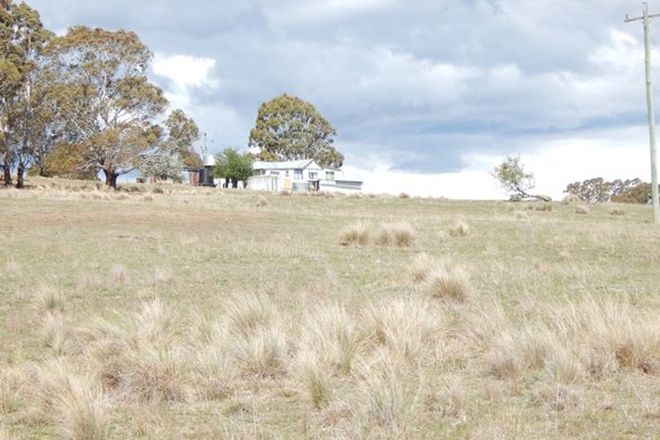 Picture of 110 Pipe Clay Springs Rd, BOMBALA NSW 2632