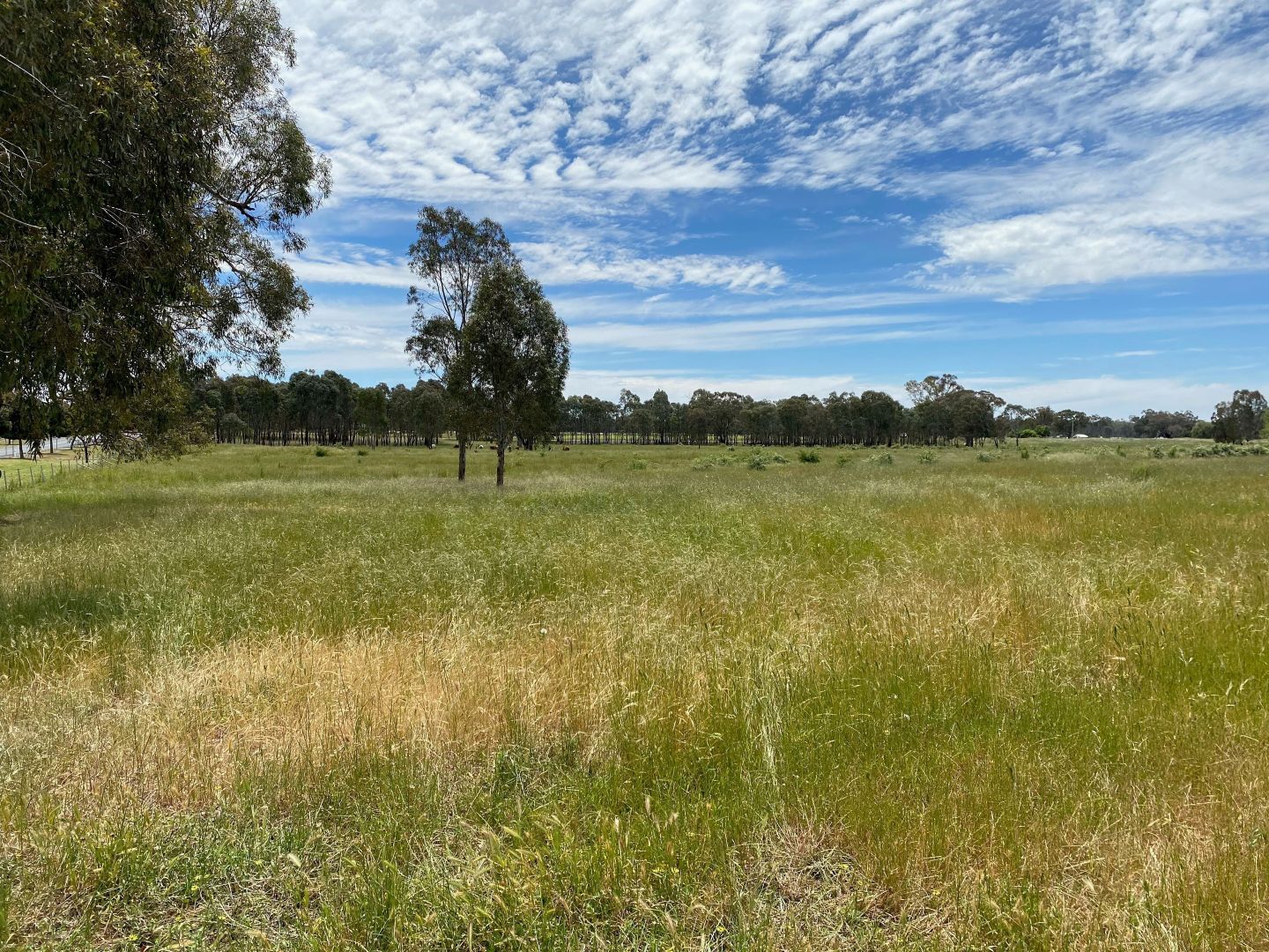 Lot 125 Morgans Road, Walla Walla NSW 2659, Image 1