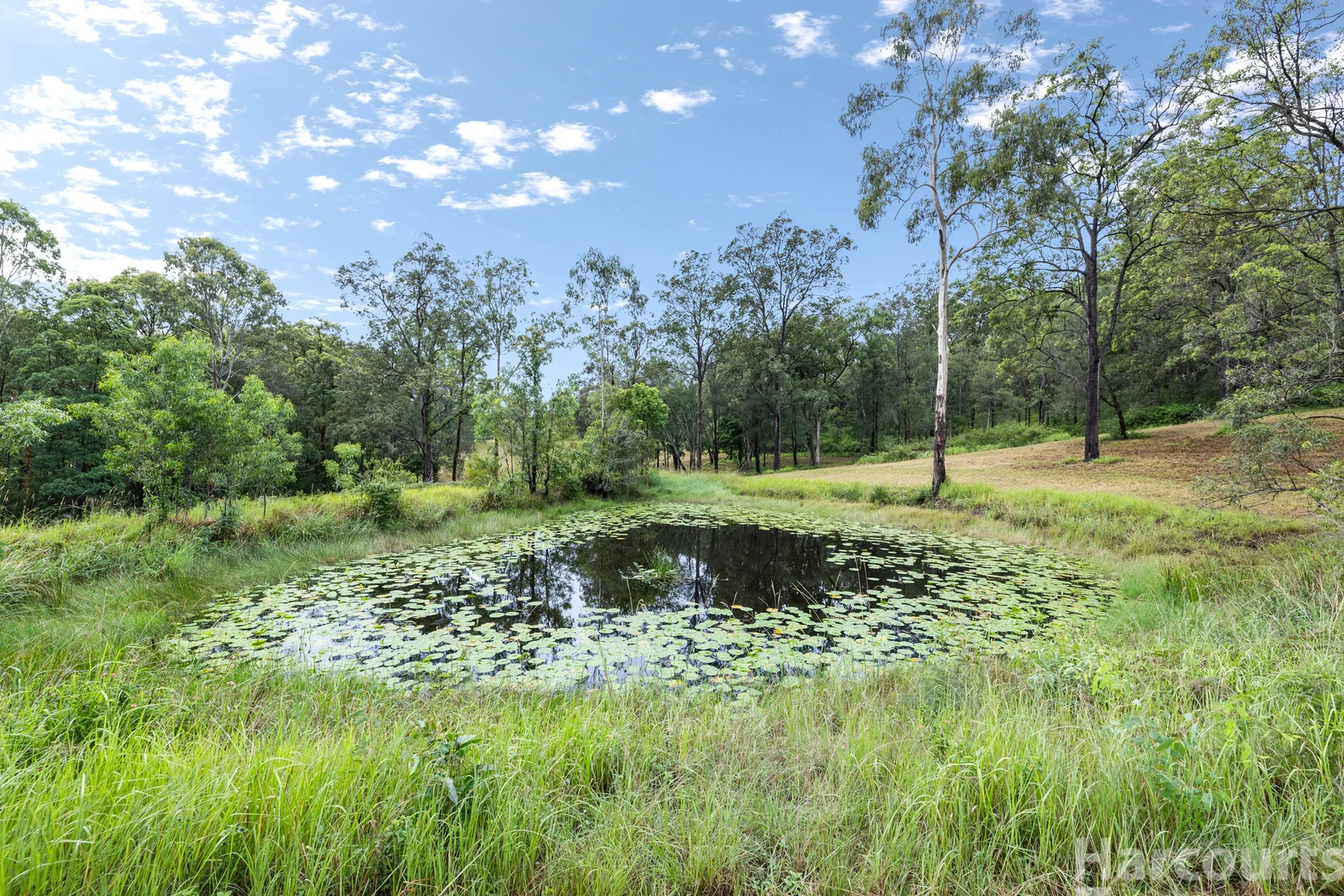 Additional image 30 of 5 Dondingalong Road, Dondingalong NSW 2440