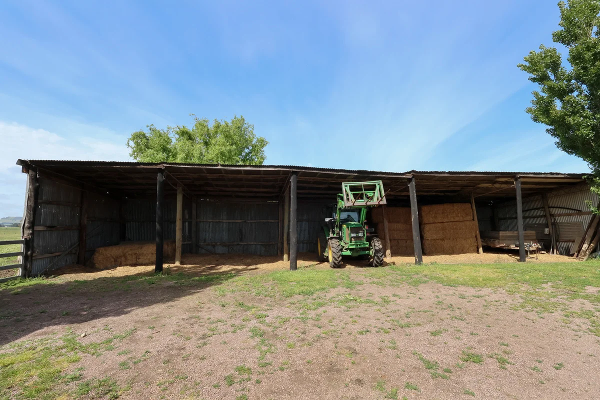 Image 15