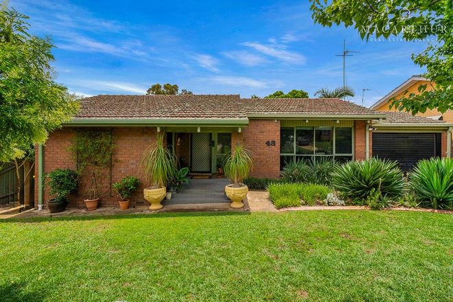 Picture of 43 Alexander Street, ASHMONT NSW 2650