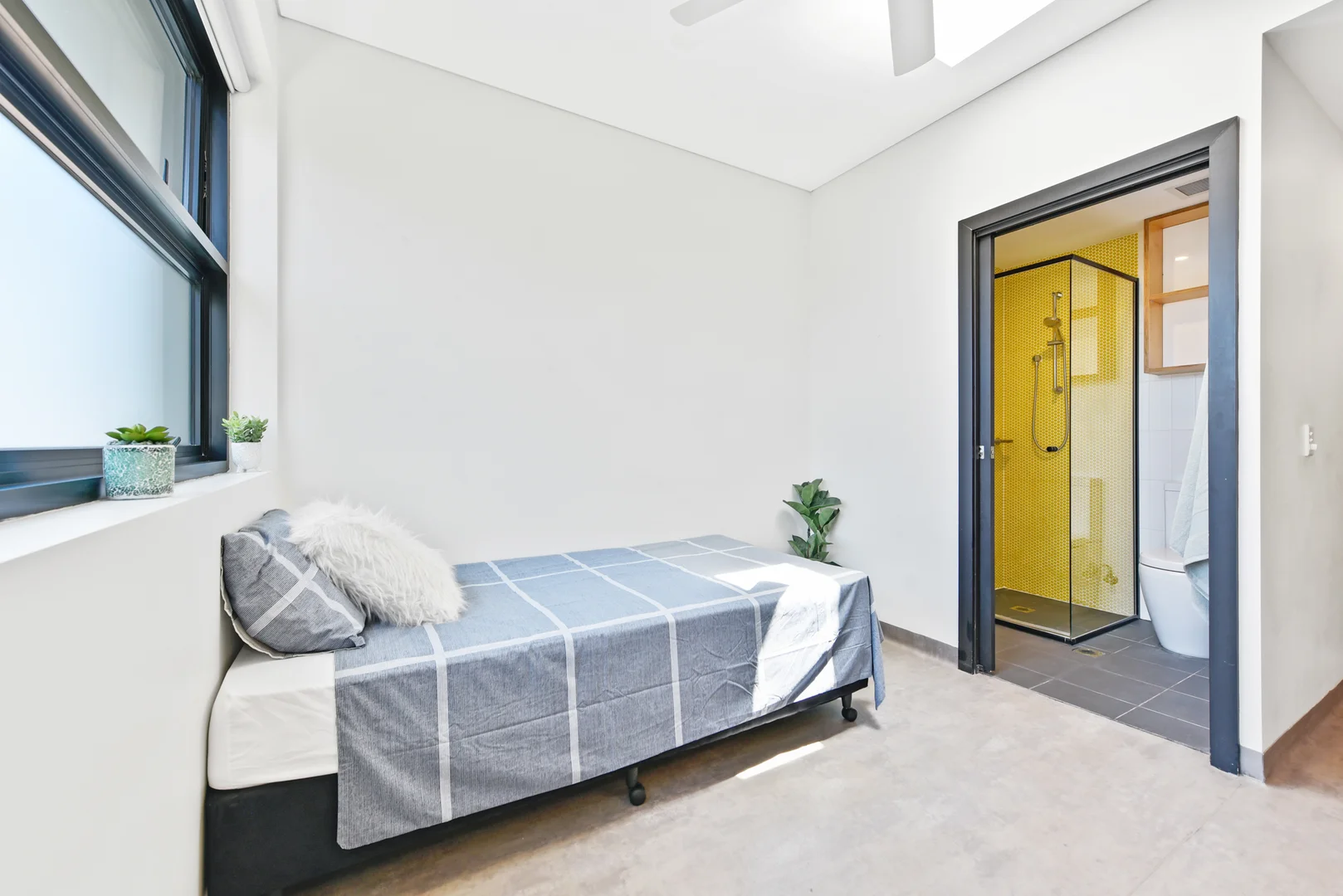 Additional image 6 of STUDIO/66 - 68 Barker Street, Kingsford NSW 2032