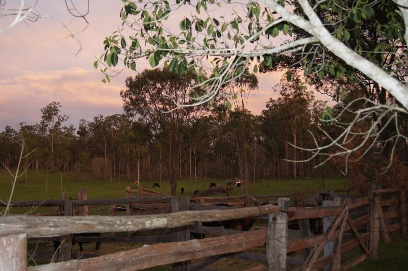 Lot 65 Forty Road, Brooweena QLD 4620, Image 0