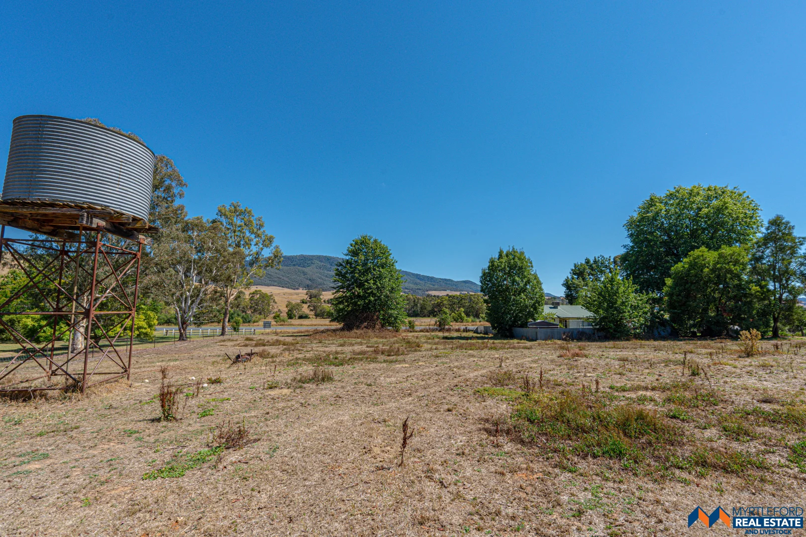 Image 12