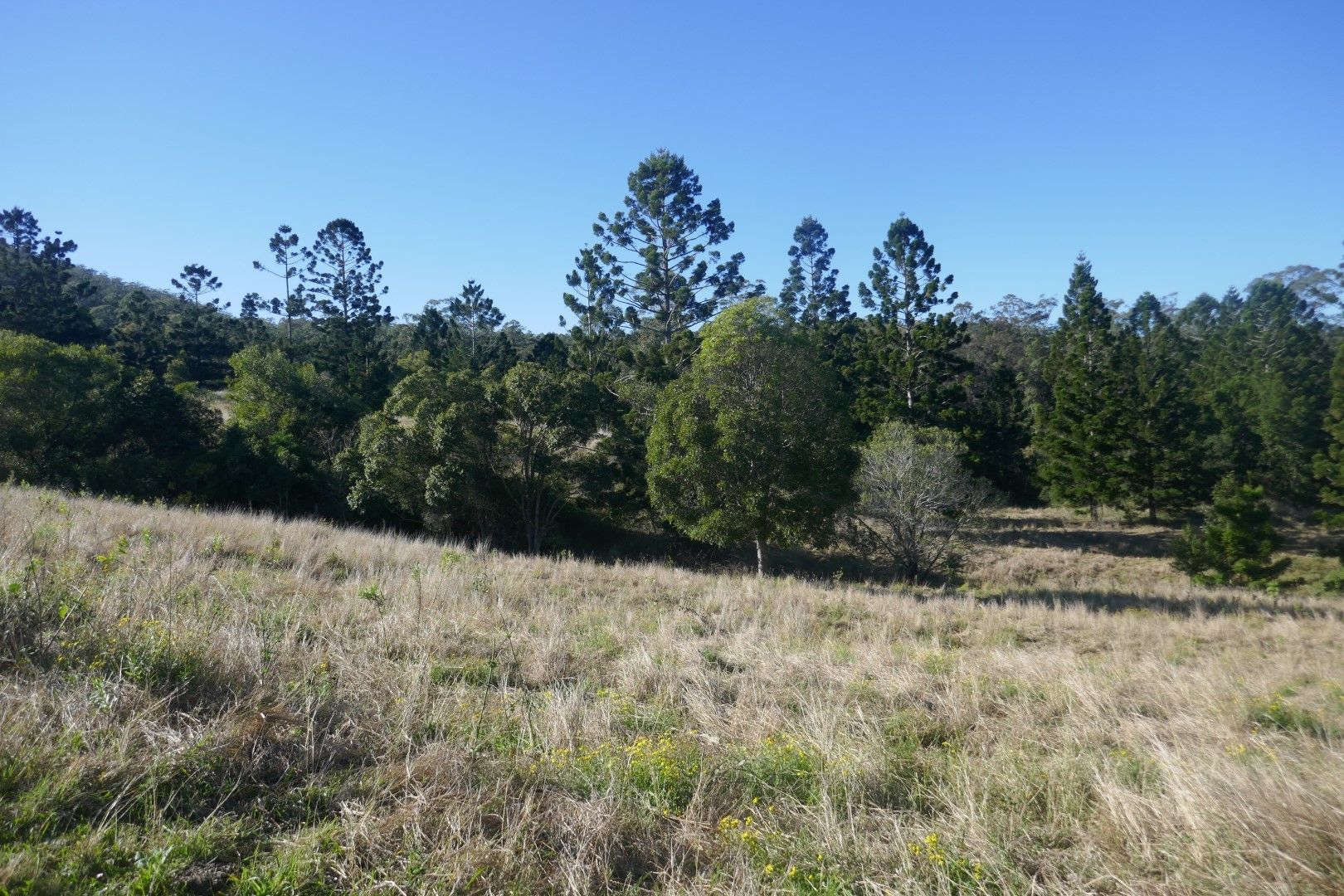 120A Chelmsford Rd, Rock Valley NSW 2480, Image 1