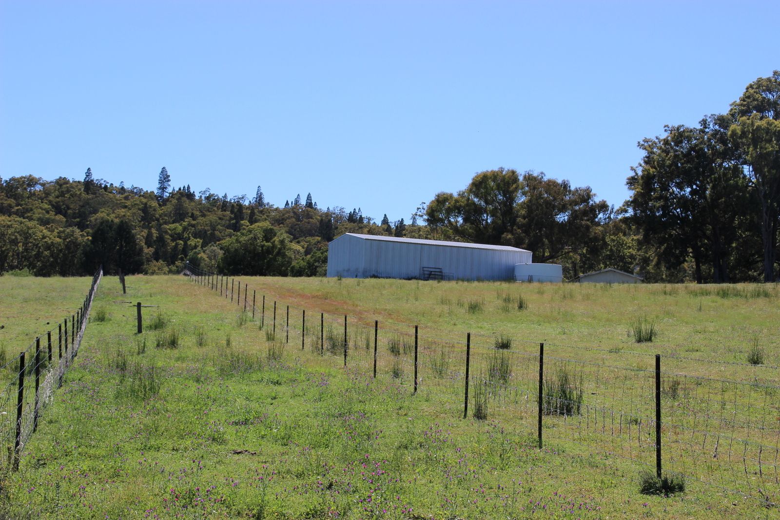 40 DOWNS TOTHILLS ROAD, Coonabarabran NSW 2357, Image 1