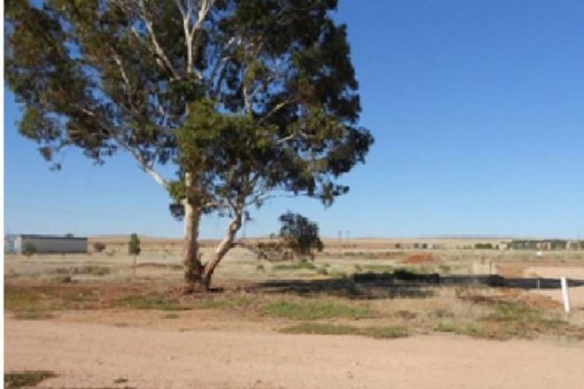 Picture of Lot 97 Washington Street, GLADSTONE SA 5473